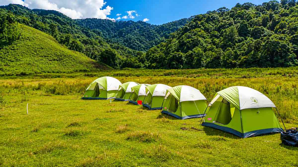Encamp Campsite, Dzuleke