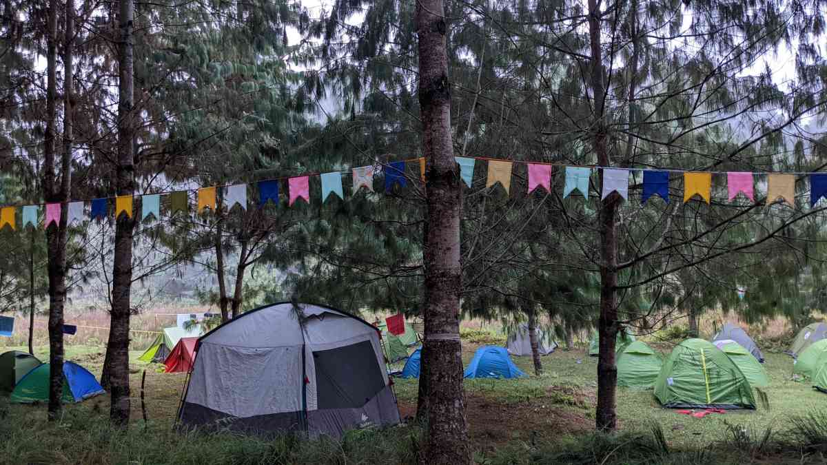 Tents in campsite