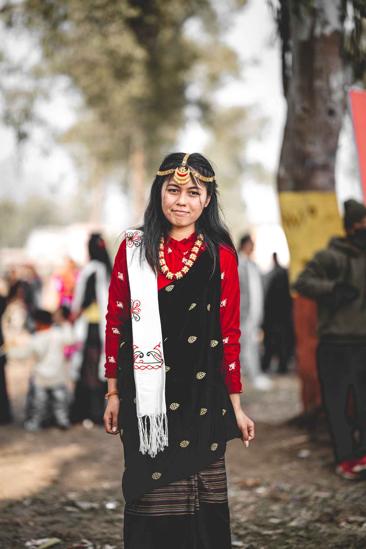 Hornbill Festival, Nagaland 5