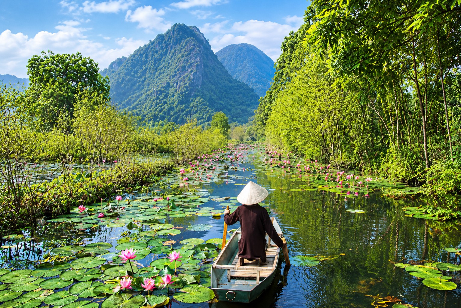Vietnam Unveiled